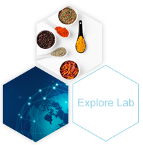 Explore Lab