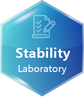 Stability Lab