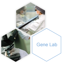 Gene Lab