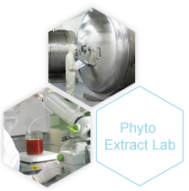 Phyto Extract Lab
