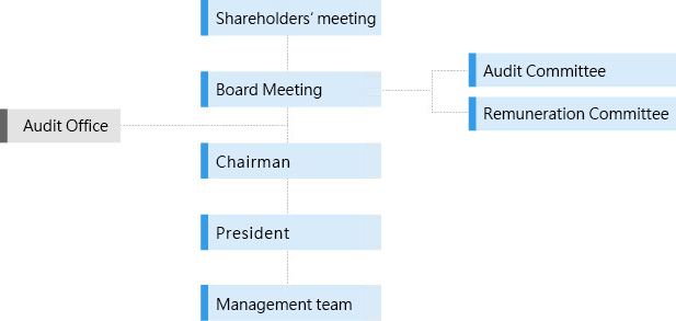 Governance structure