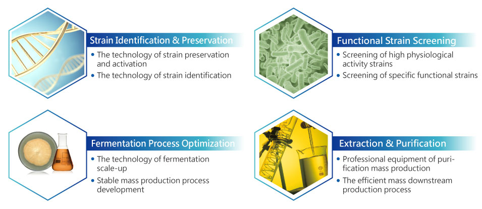 4 Core Technology