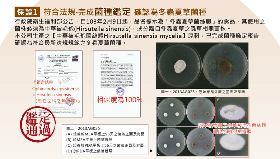 品質與優勢