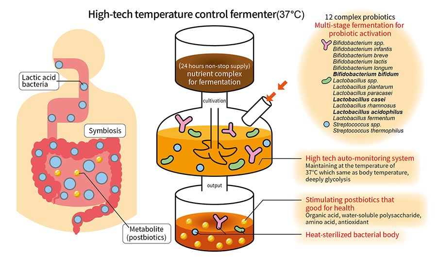 Upgrade of lactic acid bacteria - Postbiotics