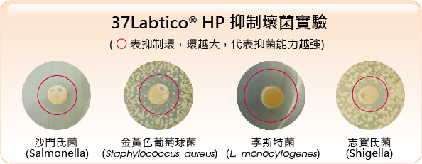 37Labtico HP實驗數據